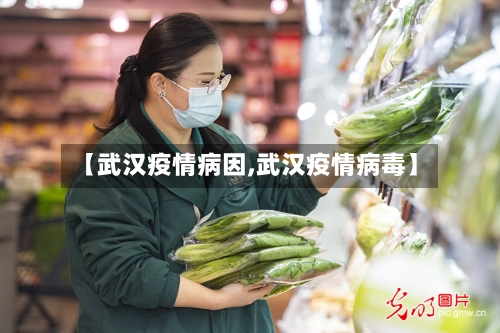 【武汉疫情病因,武汉疫情病毒】-第2张图片