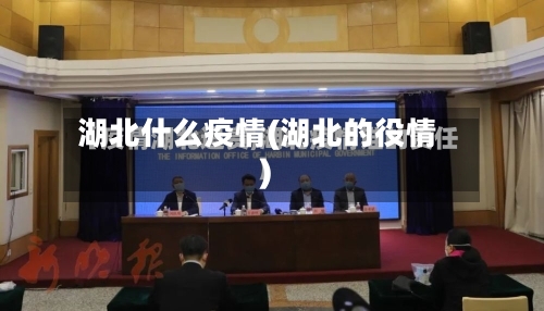 湖北什么疫情(湖北的役情)-第1张图片