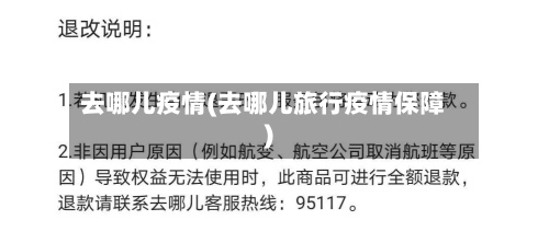 去哪儿疫情(去哪儿旅行疫情保障)-第1张图片