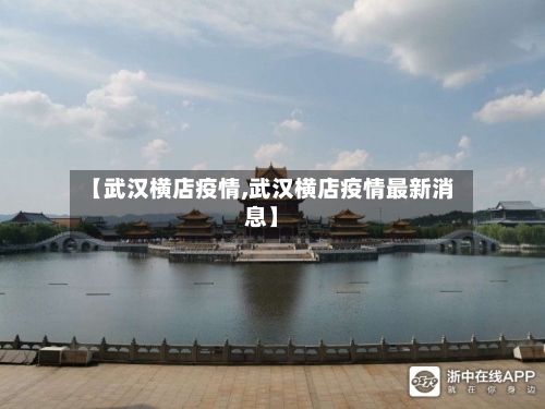 【武汉横店疫情,武汉横店疫情最新消息】-第3张图片