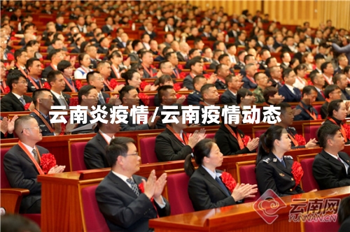 云南炎疫情/云南疫情动态-第1张图片