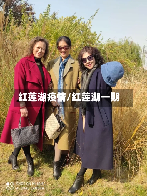 红莲湖疫情/红莲湖一期-第2张图片