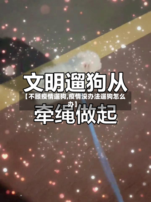 【不顾疫情遛狗,疫情没办法遛狗怎么办】-第1张图片