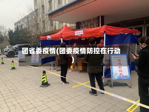团省委疫情(团委疫情防控在行动)-第2张图片
