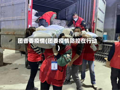 团省委疫情(团委疫情防控在行动)-第1张图片