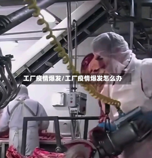 工厂疫情爆发/工厂疫情爆发怎么办-第1张图片