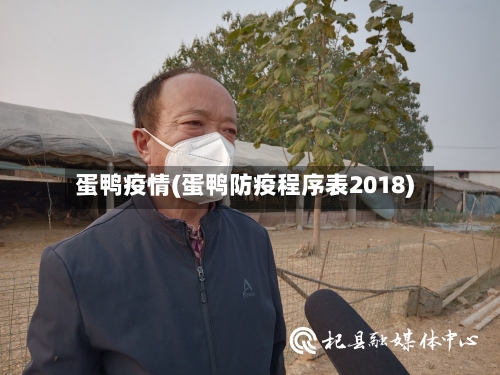 蛋鸭疫情(蛋鸭防疫程序表2018)-第3张图片