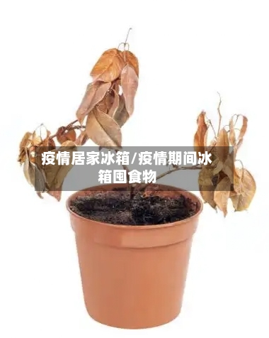 疫情居家冰箱/疫情期间冰箱囤食物-第2张图片