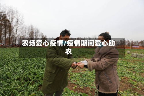 农场爱心疫情/疫情期间爱心助农-第3张图片