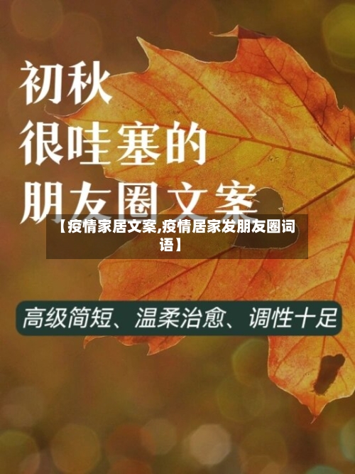 【疫情家居文案,疫情居家发朋友圈词语】-第1张图片