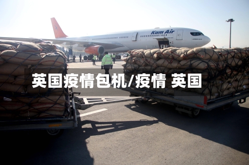 英国疫情包机/疫情 英国-第1张图片