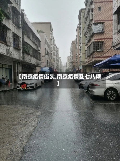 【南京疫情街头,南京疫情乱七八糟】-第2张图片