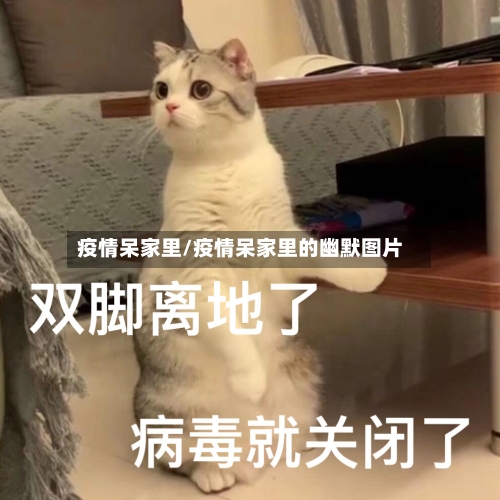 疫情呆家里/疫情呆家里的幽默图片-第1张图片