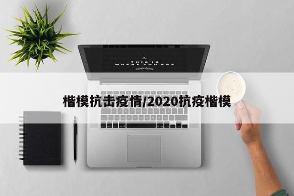 楷模抗击疫情/2020抗疫楷模
